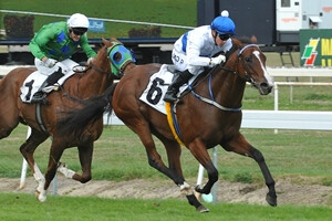 Recite - Manawatu Sires